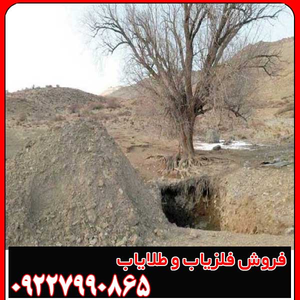 عمق دفینه درخت بید