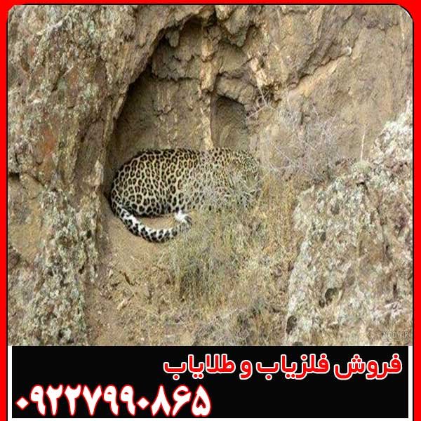 نماد پلنگ در دفینه یابی