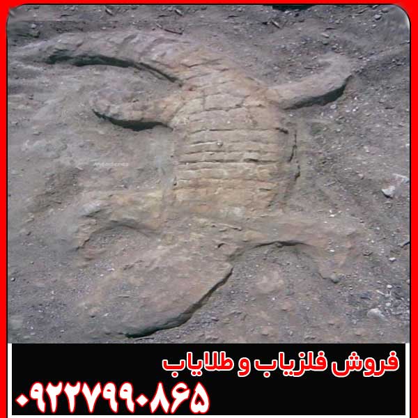 نماد تمساح در دفینه یابی