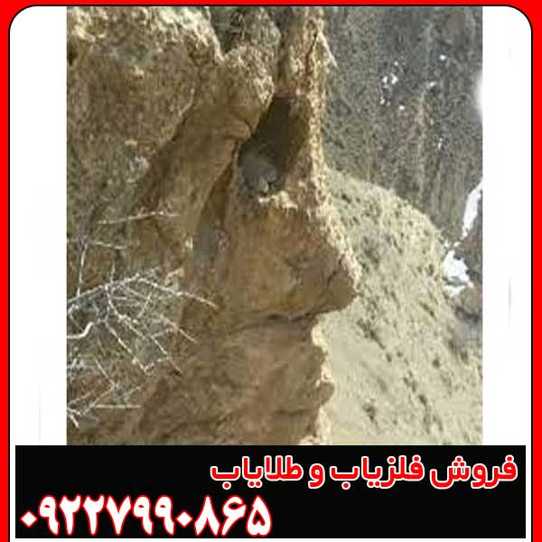 نماد نیم رخ انسان در دفینه یابی
