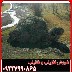 نماد لاکپشت در دفینه یابی