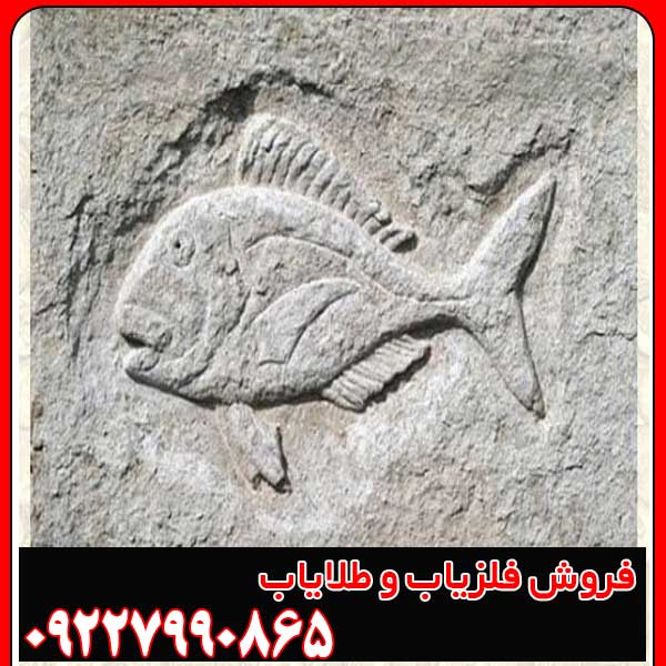 نماد ماهی در دفینه یابی