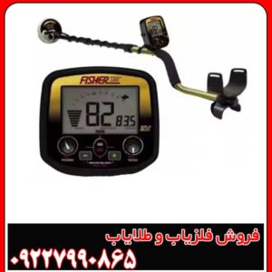 فلزیاب گلد باگ